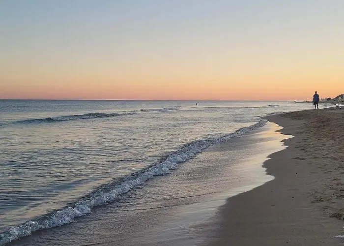 아파트 Vanissia Smleuca *